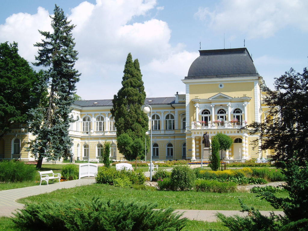 Dr. Adler Spa & Kurhotel Františkovy Lázně Exterior foto